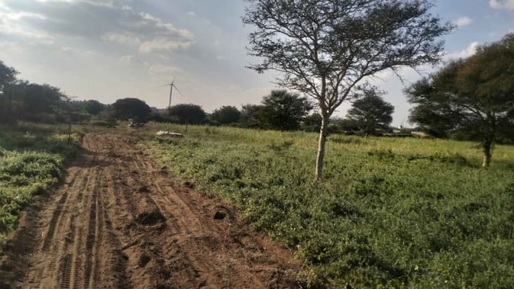 Single Property Image