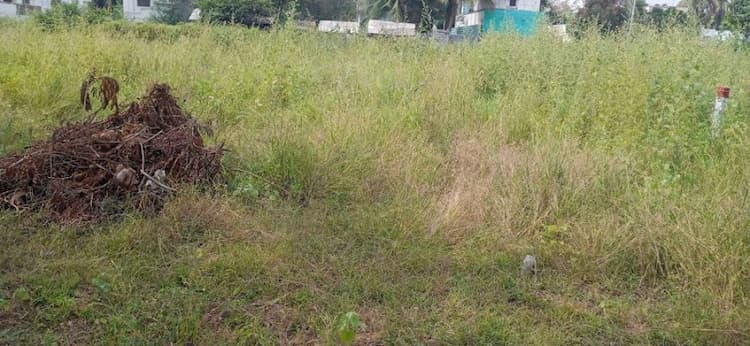 site for sale