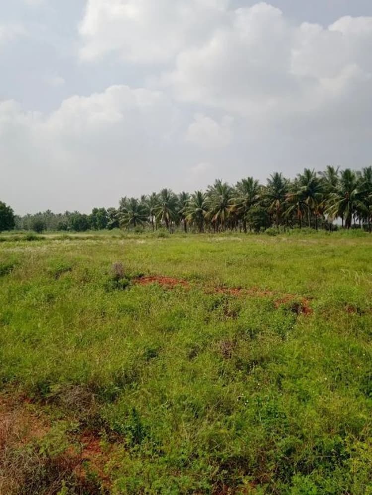 10 acre land for sales