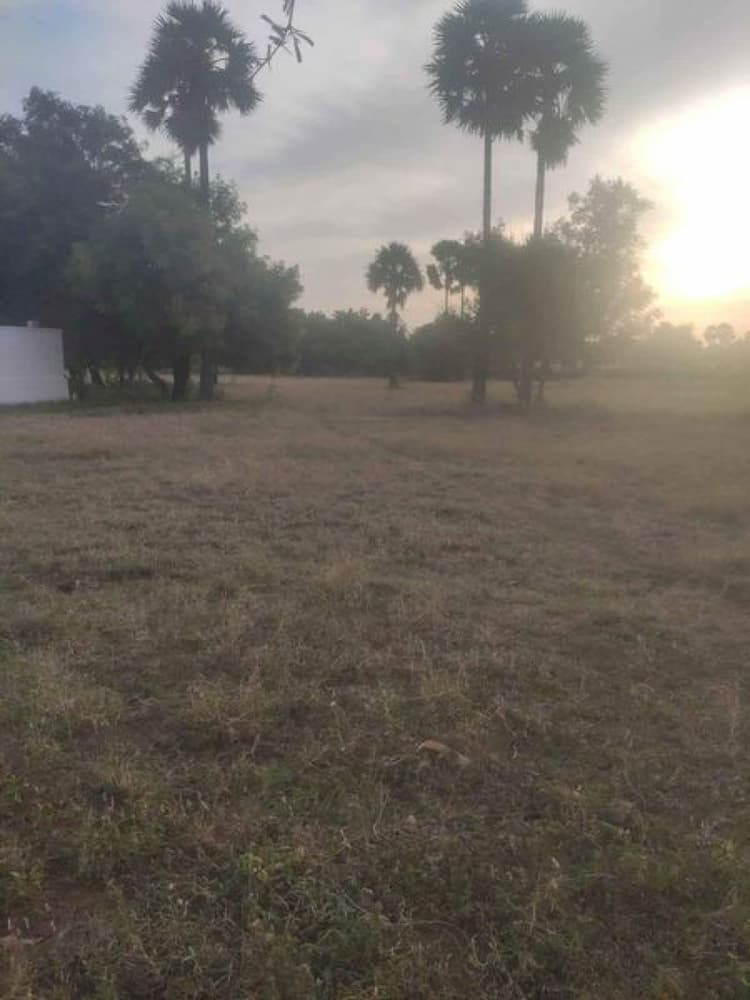 10 Cent Plot for sales