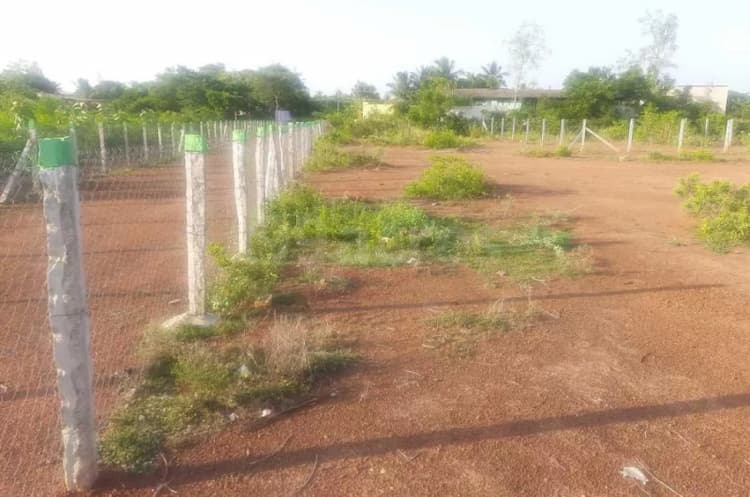 Plot For Sale
