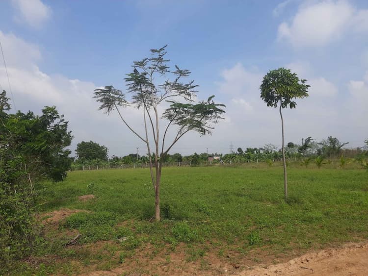 Single Property Image