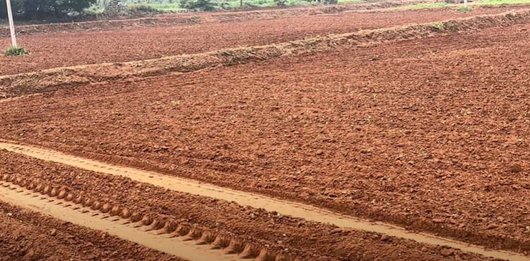 Single Property Image