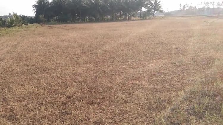 2.30 Acre Land for Sale