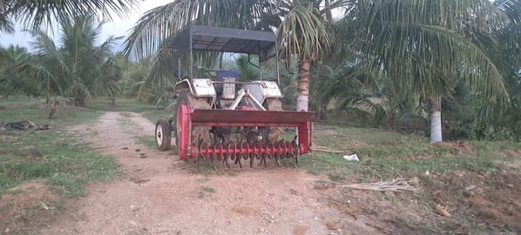 farm land for sale 