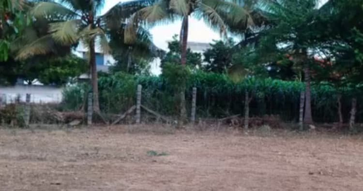 Single Property Image