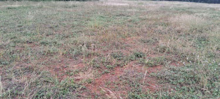 2.20 Acre Land For Sale