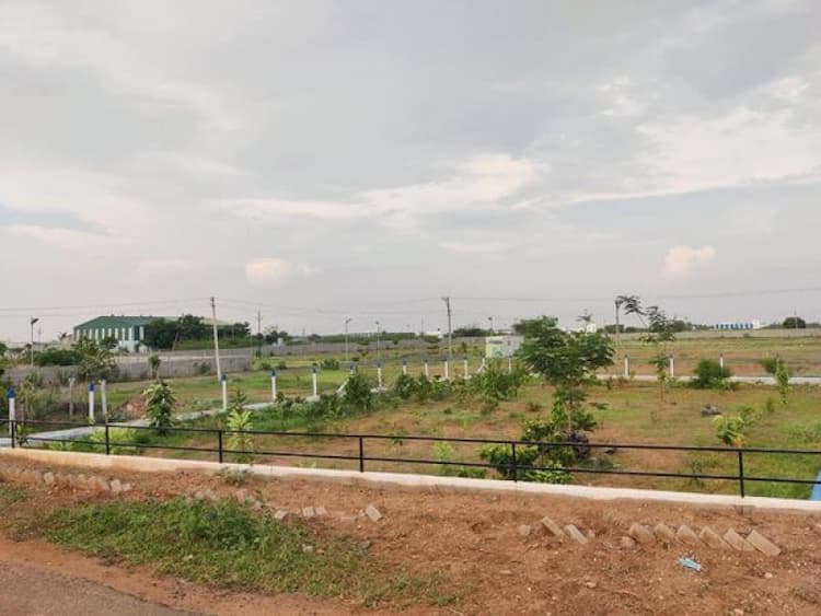 land sael