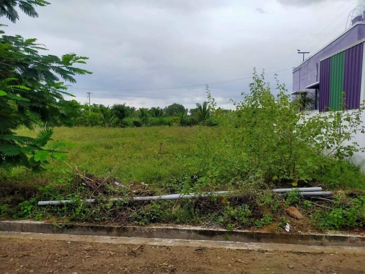 Single Property Image