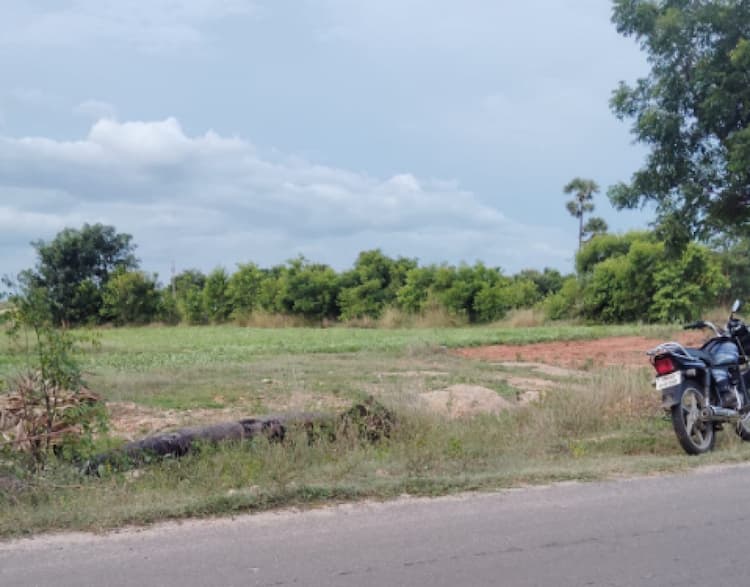 Single Property Image