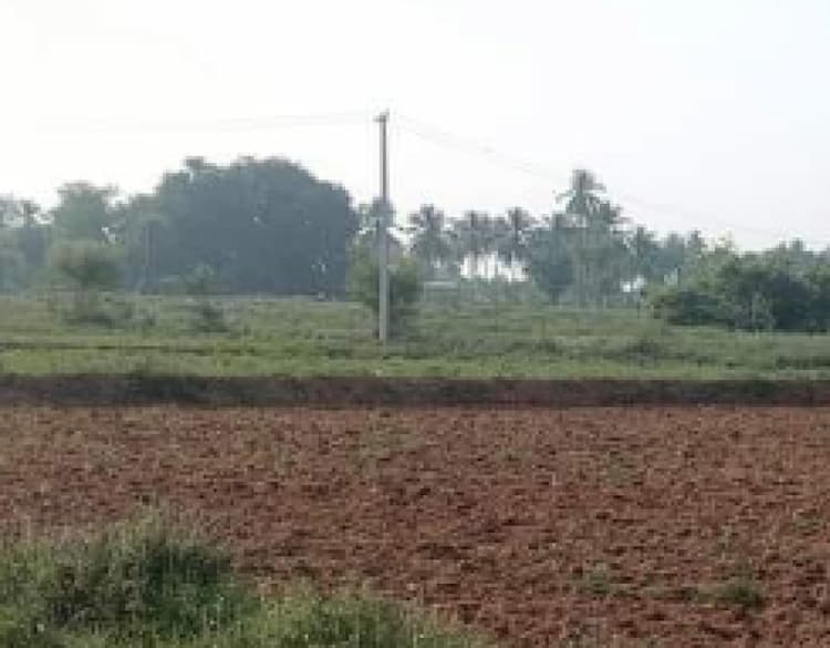 2 Acre land for sales