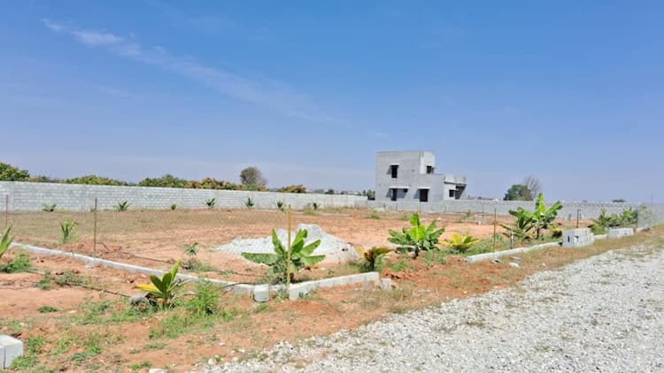 Farm land sale