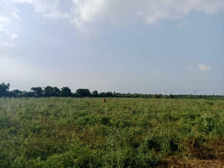 1.50 Acre Land in Dharapuram
