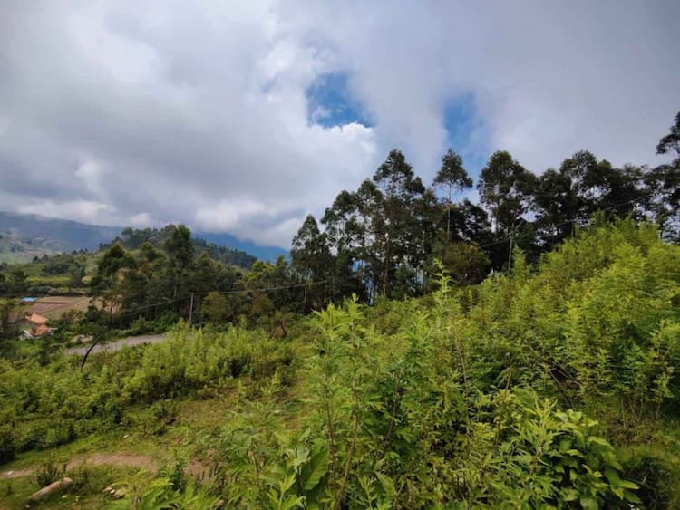 Mountain, valley, falls view commercial land for sale