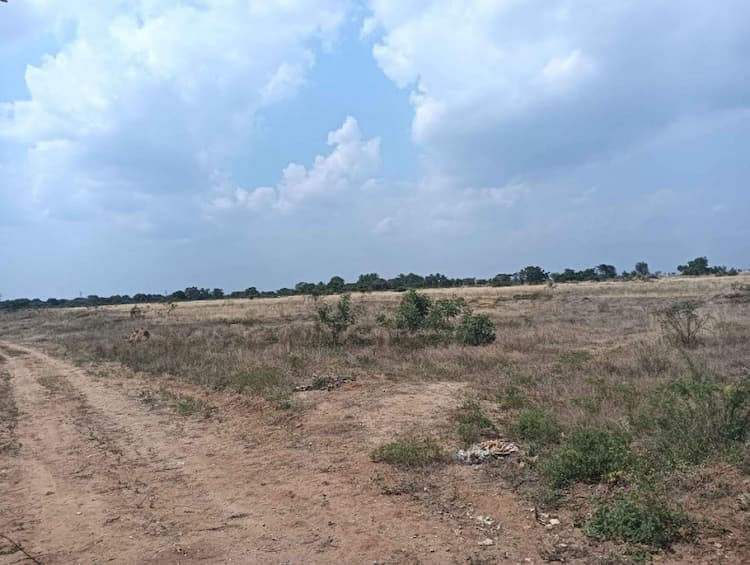 Empty Land For Sale