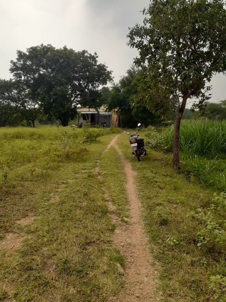 Single Property Image