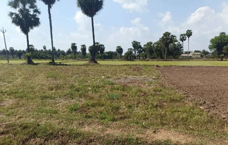 Agri land for sale