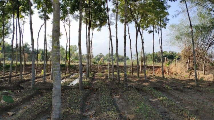 THIRUKARUKKAVUR FORM 