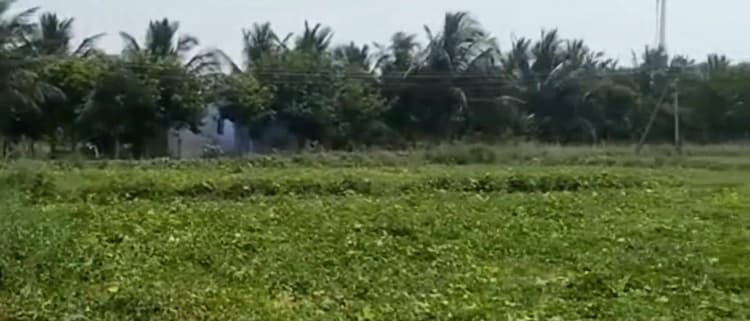 75 Cent Land for Sale