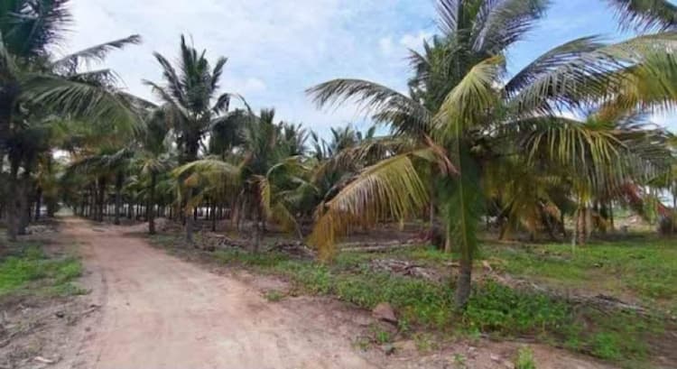 Single Property Image