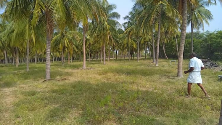 Land of 5 Akers  for sale 