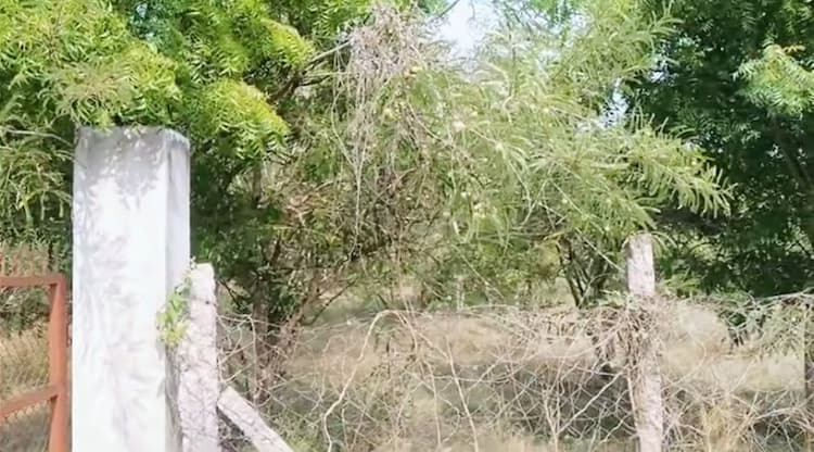 Single Property Image