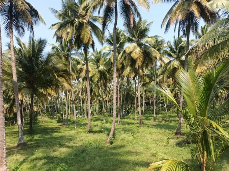 Single Property Image