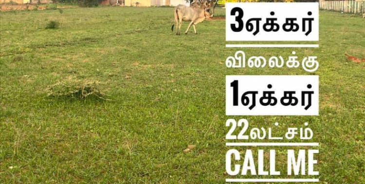 3 Acre Land in Dharapuram - Ottamchathram Road.