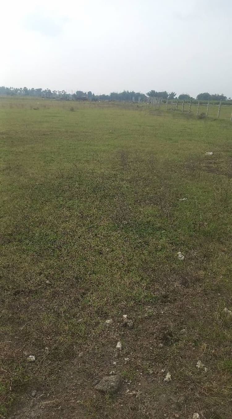 1 acre 60 cents punchai land for sale in Uthiramerur