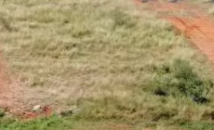 2 Cent land for sales