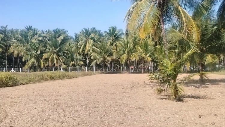 45 Cent Land for Sale