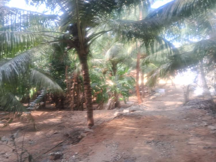 Single Property Image