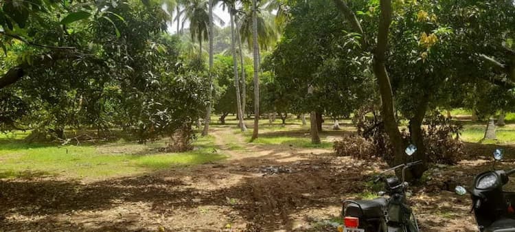 Single Property Image