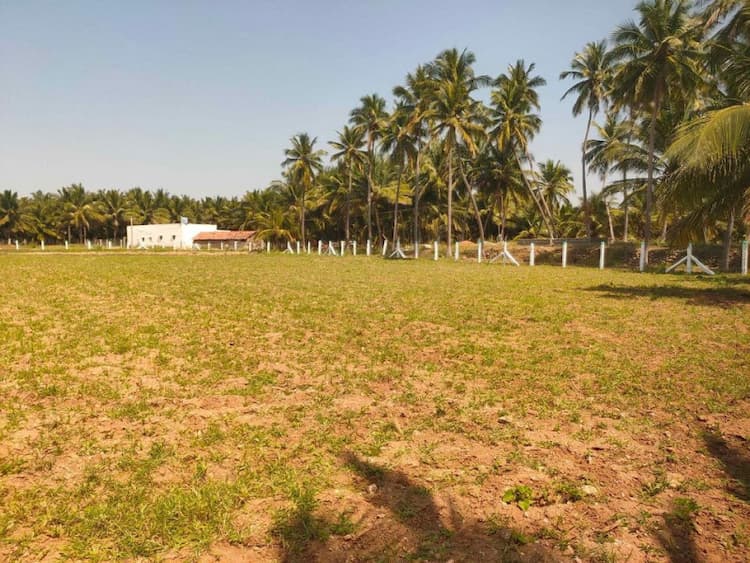 2 Acre Land for Sale