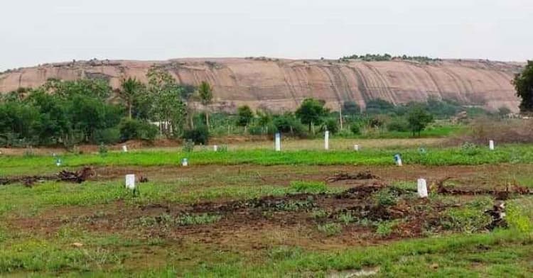 plot sale