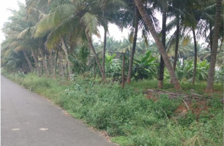 Single Property Image