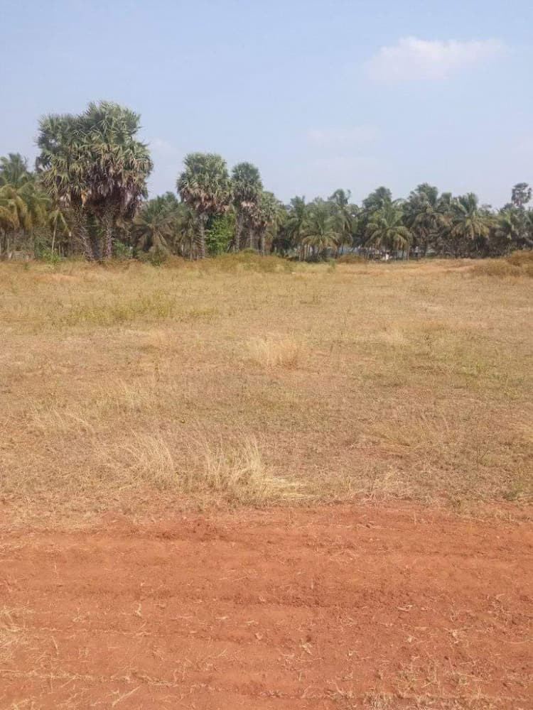 agri land for sale
