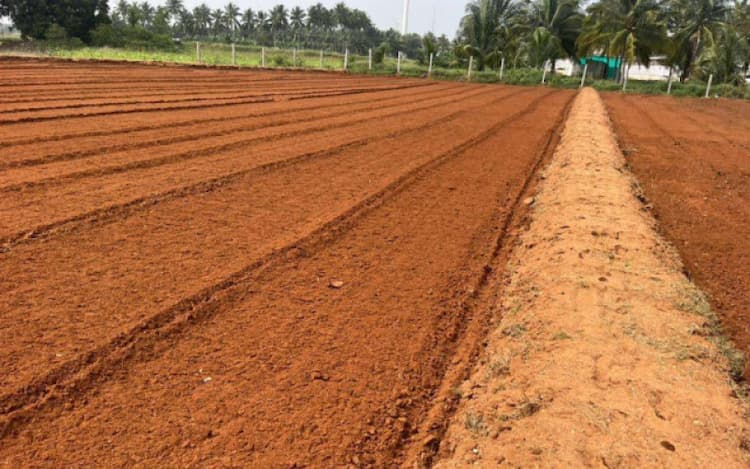 24 Cent Land for Sale