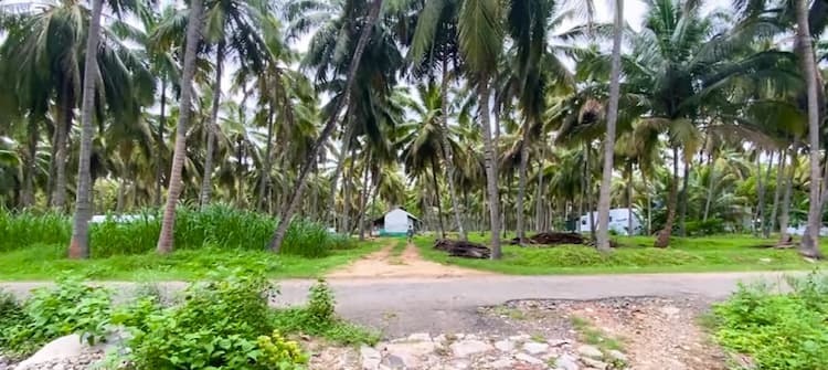 Land for Sale