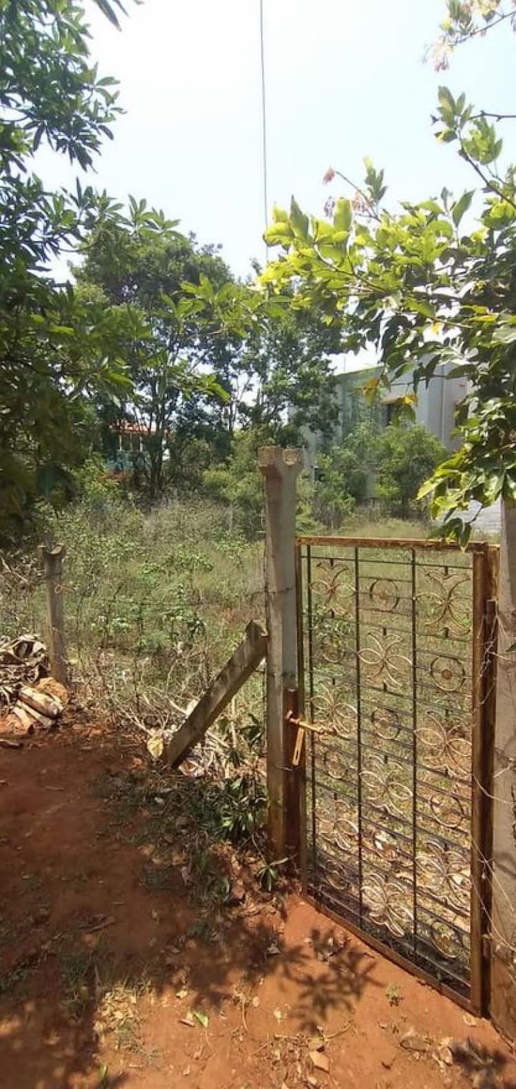 Single Property Image