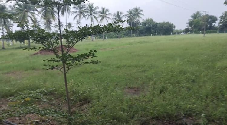 1 acre Plot