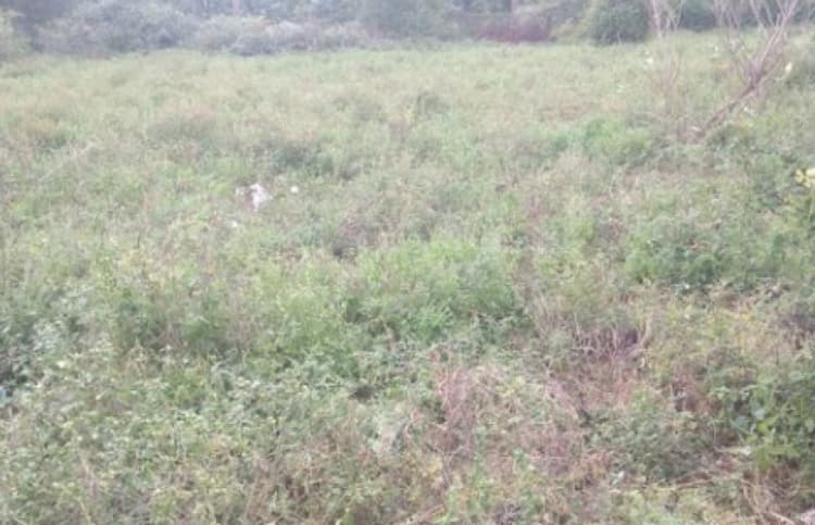 10 cent land for sales