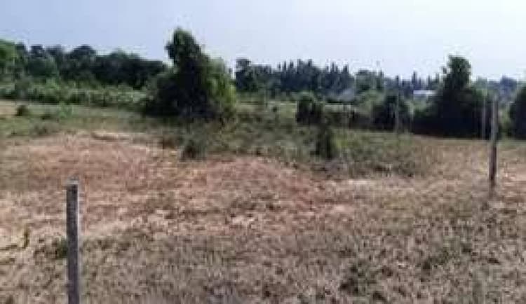 farm land sale