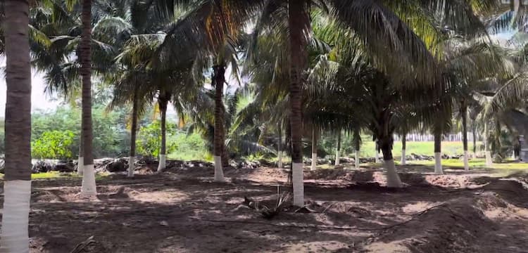 3.5 Acre Land for Sale