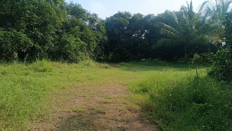 Single Property Image