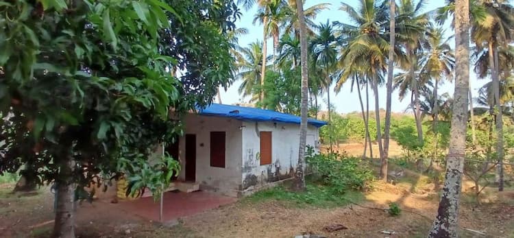 farm land for sale 