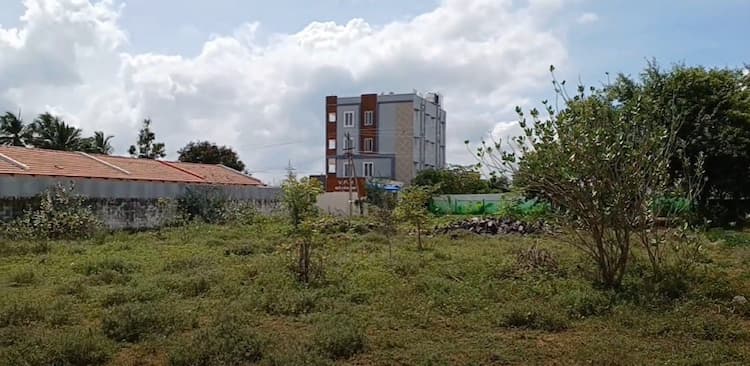 Single Property Image