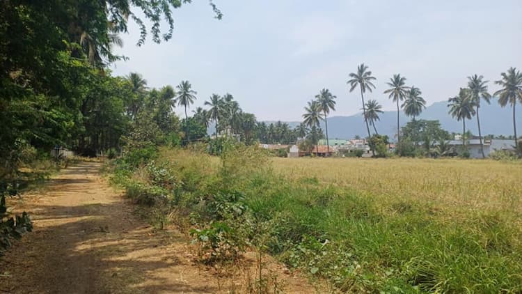 agri land for sale 