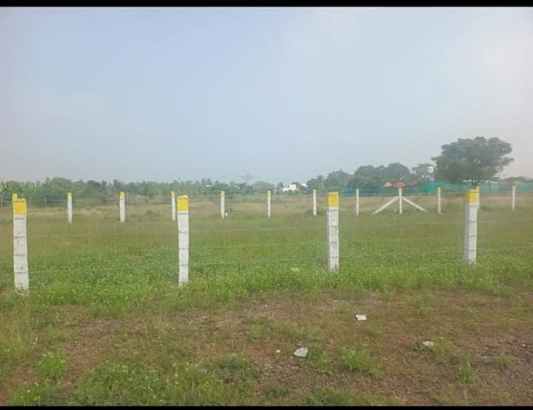 19 cent plot for sale