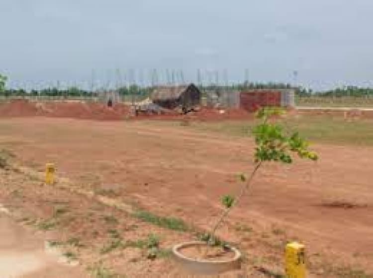 Commercial Land 